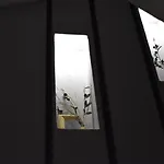 Raffinato Suite