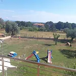 Zisios Studios