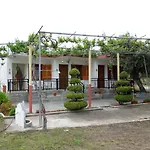 Studio Zoi
