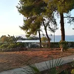 Pine Tree Beachfront Villa