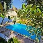 Thassian Villas