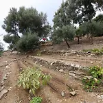 Amazing Mourtzanakis Residence Eco Villas