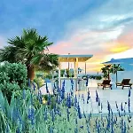 Queen Boutique Suites