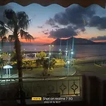 Palatino