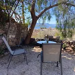 Pepper Tree