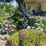 Studio Holiday Kalamata