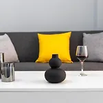 C3 Modern Spartan Apartment