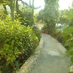 Afentoulis Studios