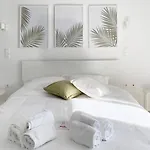 Palm Suite Green