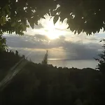 Evi΄S Studios