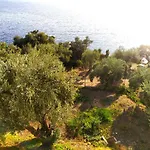 Villa Leonidas Greecefiloxenia