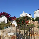Eco House