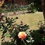 Mary\'S House