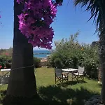 Nikoleta\'S Studios