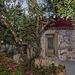 Creta Vitalis
