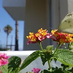 Andromeda Hotel Apartments