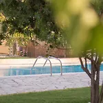 Olive Grove Resort