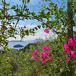 Stone House In Olive Grove