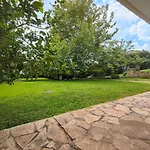 Platanus Gardenhouse