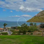 Vasiliki