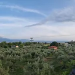 Vlasis Home