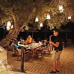 Cactus Beach Paros