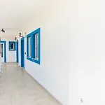 Blue White Apartments - Kefallonia Poolside Retreats