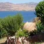 Little Bird Lesvos