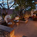 The Fig Tree House