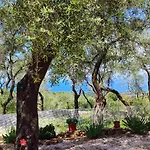 Villa Olive Garden, Kastanida - Paxoi