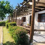 Niotis Studios
