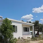 Admonis - Home In The Olive Grove