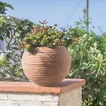 Mulberry Tree Villa