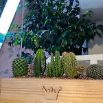 The Island Studio