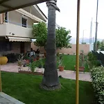 Lemon Tree
