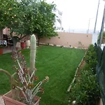 Lemon Tree