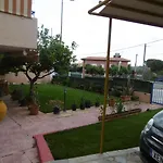 Lemon Tree