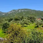 Giokos
