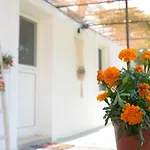 Myrtus Guest House