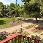Squirrels, Home With View