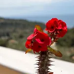 Elichrisos Apartment Spetses