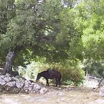 Hotel Agnanti
