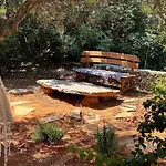 The Secret Treehouse