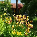 Home & Gardens 2-Bed Villa In Sevasti Katerini