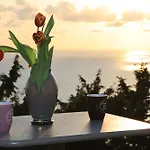 Alibertini Studios