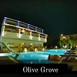 Olivegrove