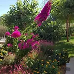 Mear Holiday Homes - Cretan Summer Getaways