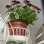 Grandma\'S House