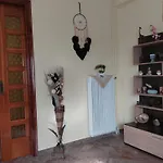 Apartment Dolphins