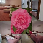 Vrasna Luxury Apartment